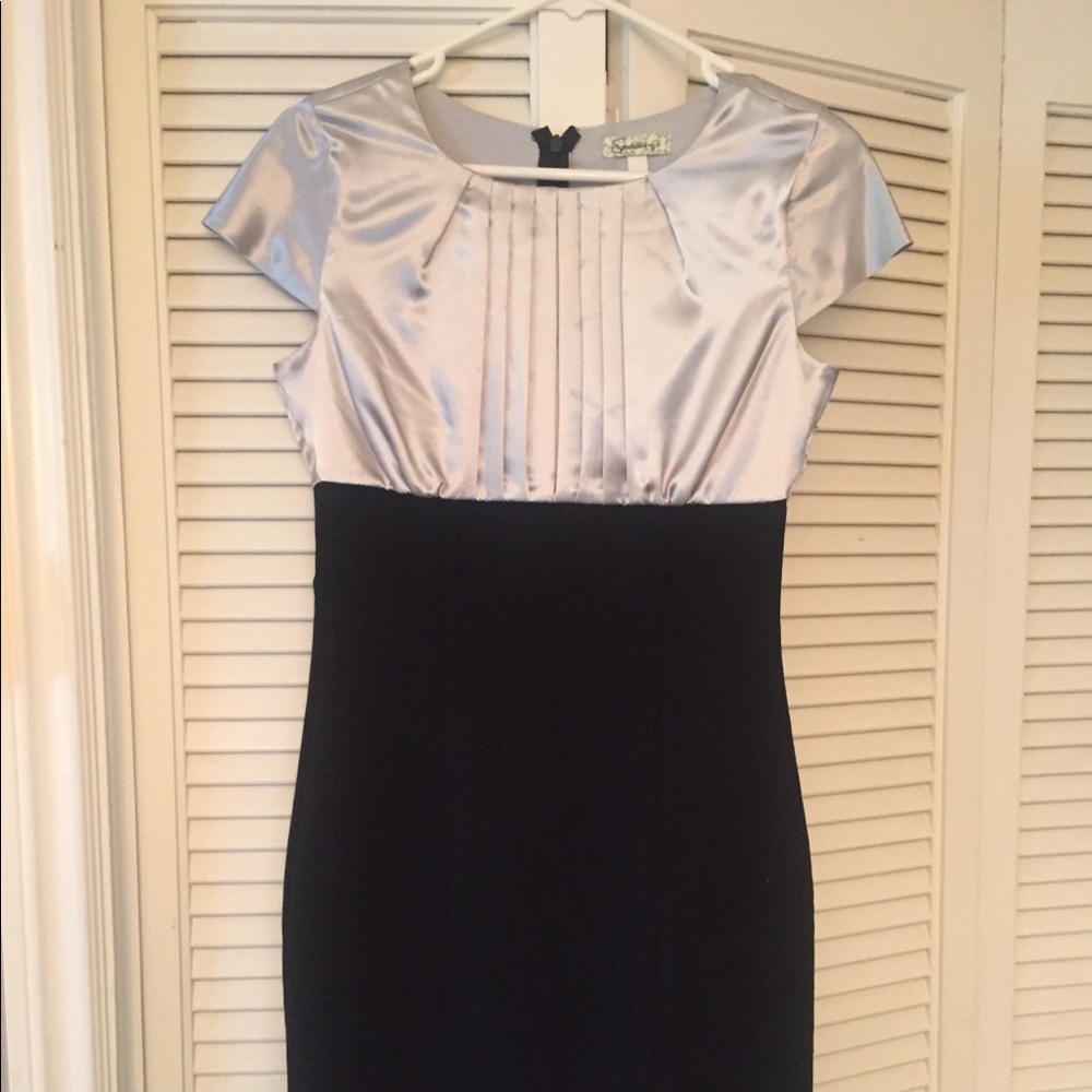 Silver/Black Dress